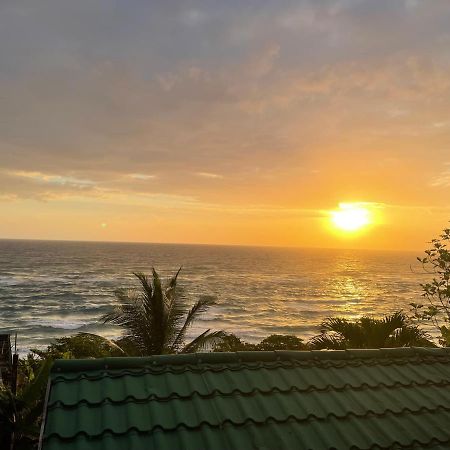 Villa Rasta - Ocean View Bungalows Port Antonio Exterior photo